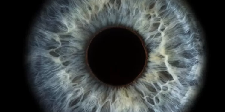 Captura de pantalla 2022-06-06 a la(s) 23.00.08